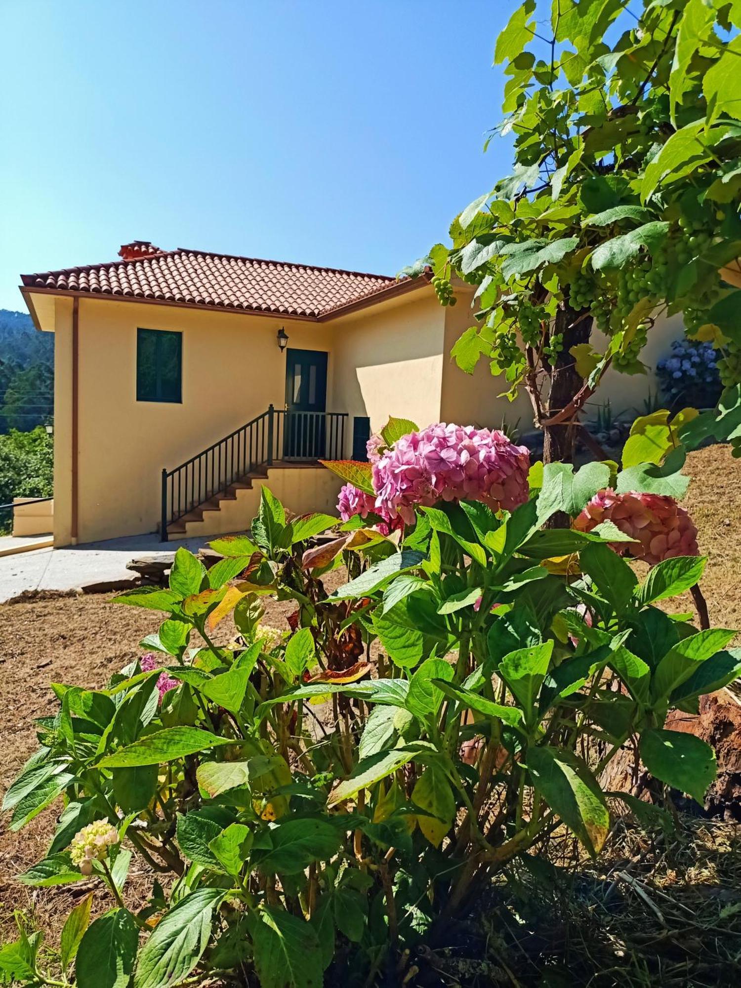 הוילה ואלדוויניו A Casa Do Porto Cerca De Cedeira Y De La Playa De Pantin מראה חיצוני תמונה